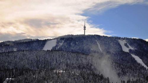 Pamporovo Apartment | Discover The Secret Apartment: Pet-Friendly Retreat Awaits