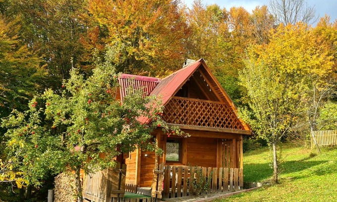 Rakhiv House | Experience Comfort at Трембіта - Pet Friendly & Hot Tub