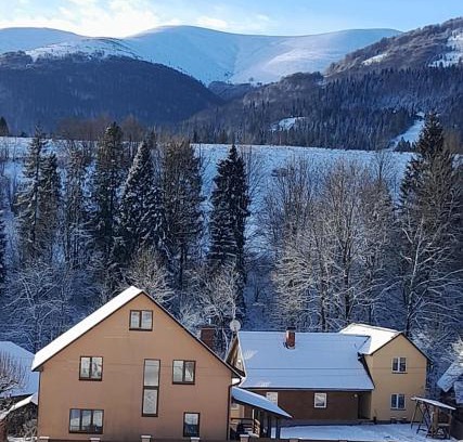 Podobovets House | Discover У ДЯДЬКА: Guest Rated 9.6 with Pet-Friendly Perks