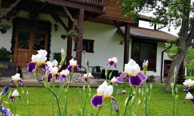 Dahovskoe House | Discover Хамышинские Дачи: 10/10 Rated with Kitchen Access