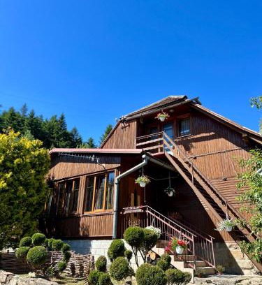 Skole Cabin | Cozy Retreat at Хвиля Гір - Ideal for Families and Pets