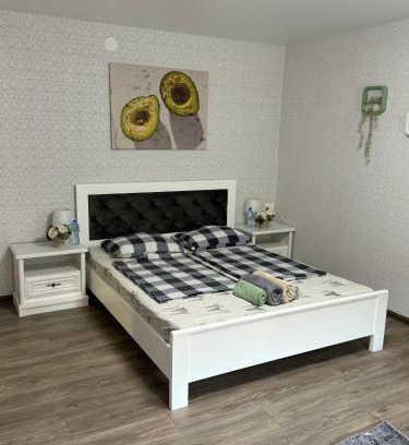 Transcarpathia Apartment | Discover a Cozy Apartment in Charming Berehove