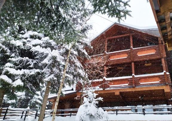 Myhove Cabin | Experience Hospitality at Шаленарозі: Rated 9.7/10