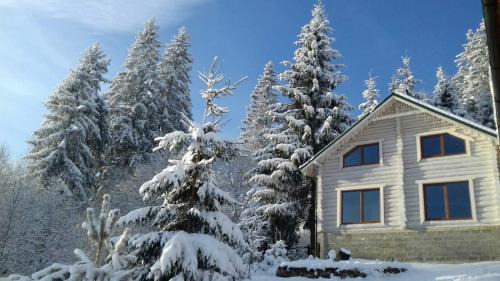 Yasinya Apartment | Discover Tranquility at Шепіт лісу - Guest Rated 10/10