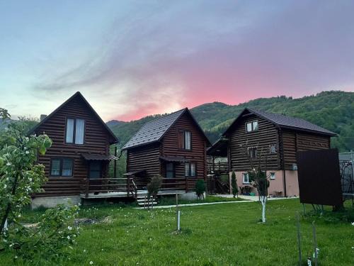 Rakhiv House | Experience ШОВКОВА КОСИЦЯ: Pet-Friendly Retreat with Breakfast
