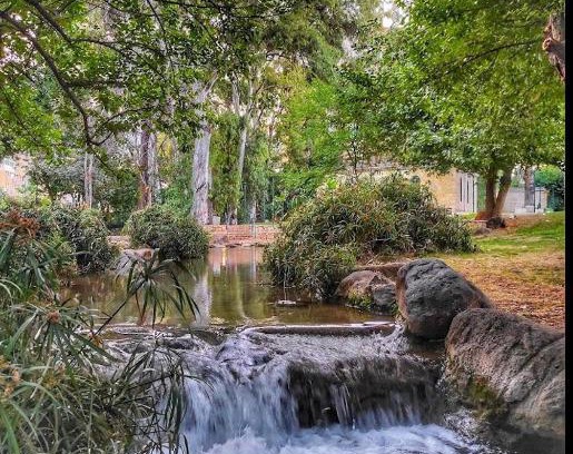 Qiryat Shemona Apartment | Charming Country Retreat in the Heart of Kiryat Shmona