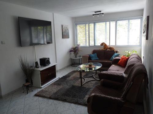 Kiryat Bialik Apartment | Discover a 3-Room Haven: Pet Friendly & Family Ready