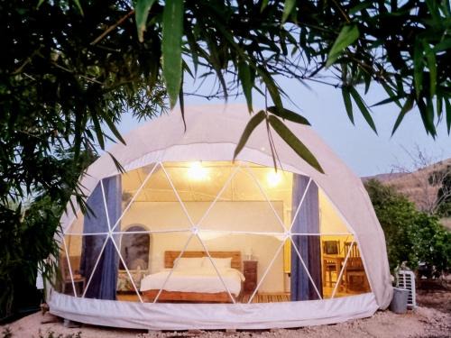 Yavne'el House | Experience Eco-Friendly Hospitality at החווה של הדס