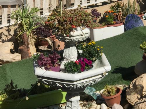 Arad Cabin | Eye Sun Suites: Family-Friendly Escape with Pool Access
