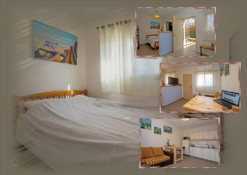 Ma'ale Gamla Apartment | Simple Stays with Pet-Friendly Comfort and Kitchen Access