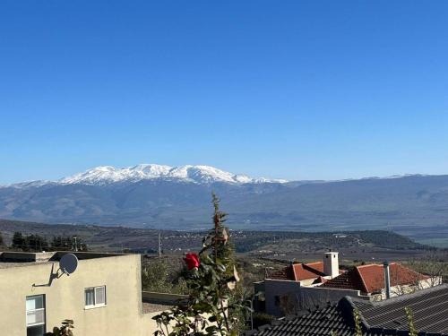 Malkiya Apartment | Peaceful Retreat at שלווה בהר - Guest Rated 9.6/10