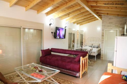 Buq'ata Apartment | Experience שקיעת הדובדבן: Family & Pet-Friendly Retreat
