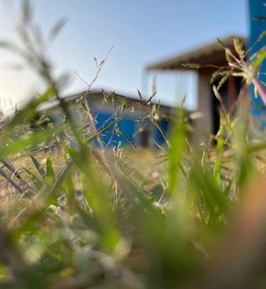 Abha Ski Chalet | Discover الاستراحة ديم: Family-Friendly 4-Star Retreat