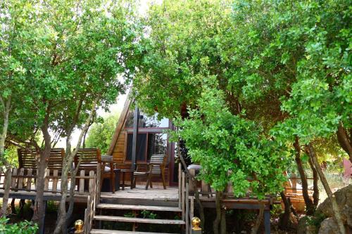 Ajloun Other | اكواخ نور