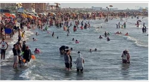 Ras El Bar Apartment | Discover Arabic Global Tourism: Family-Friendly Hotel Suites