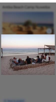 Taba Other | Discover انتيكا كامب: Top-Rated Pet & Child-Friendly Stay