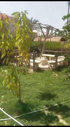 Ismailia House | شقه ارضي بحديقة خاصه في النورس