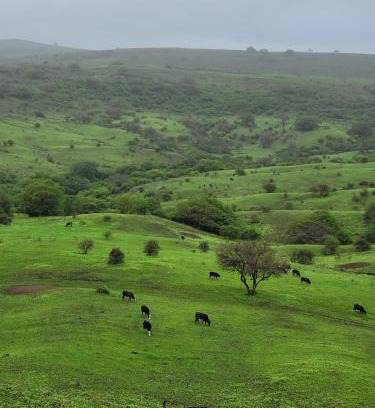 Dhofar Governorate Villa | Family-Friendly Getaway at فيلا رابية جرثنوت