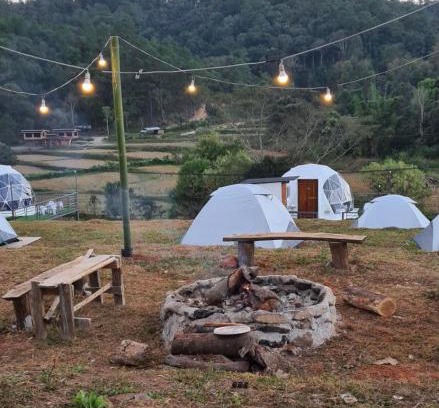 Mae Wang Other | Kid-Friendly Khangkhao Camp: Guest Rated 9/10 Experience
