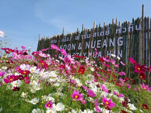 Hua Hin House | Guest Rated 10/10: Koon & Nueang Farm Stay in Hua Hin