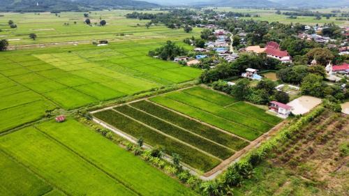 Chiang Khong House | Explore Nature at ณ บ้านนอก Organic Farmstay