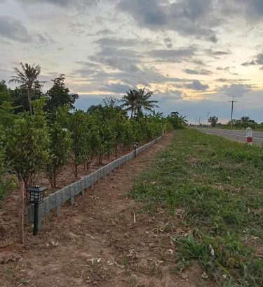 Buriram Other | Inviting Countryside Retreat with Pool and Kid-Friendly Fun