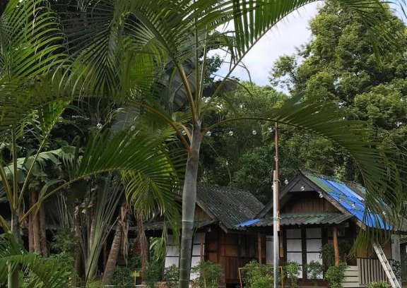 Ko Chang Ski Chalet | Discover บ้านตำหนักช้าง: Family & Pet-Friendly Escape