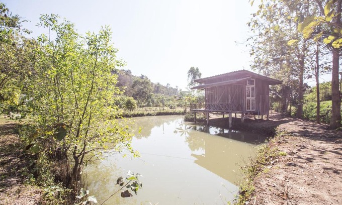 Mae Taeng House | Cozy Friend's House Homestay in Mae Tang - Pet Friendly Stay