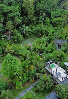 Kong Ra Apartment | Cozy Homestay in the Forest: Pet & Child Friendly Retreat