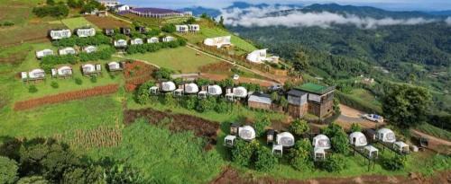 Mae Rim Other | Scenic Views Await at ม่อนหมอกฟ้า ม่อนแจ่ม - 8.6/10 Rated