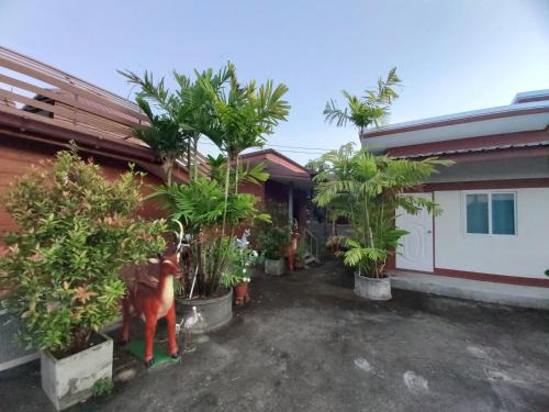 San Pong House | Explore ริมทุ่งโฮมสเตย์ with Family-Friendly Amenities