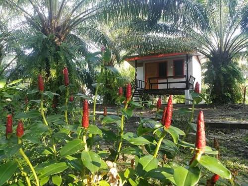 Sikao House | Family-Friendly Sa-buy Country Resort in Pak Meng