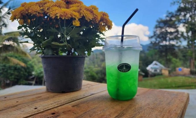 Mae On Other | Discover the Beauty of Maekampong's Green Camping Retreat