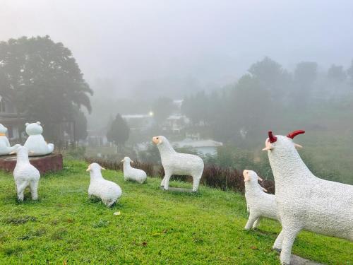 Khao Kho Hotel | Pet-Friendly Stay at เนริสารีสอร์ท เขาค้อ with Family Amenities