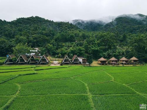 Bo Kluea Resort | Discover เสน่ห์ at บ่อเกลือ: Family and Pet Friendly Retreat
