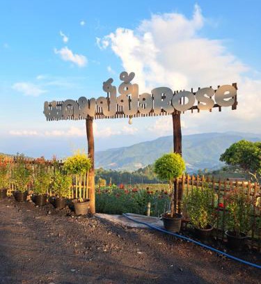 Mae Rim Other | แคมป์ปิ้ง Rose