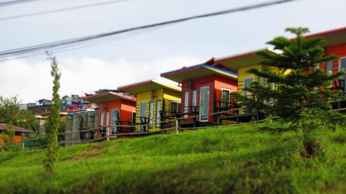Lom Kao Cabin | Discover ไร่กะหล่ำหวาน ภูทับเบิก: Family-Friendly Getaway