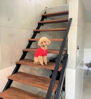 Taketomi-jima Taketomi-cho House | Experience Comfort at とぅも～る - Pet Friendly & Highly Rated