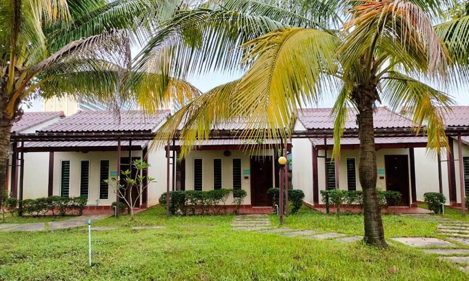Sihanoukville City Centre Apartment | Discover Dual Palm Resort: Pet-Friendly & Poolside Fun