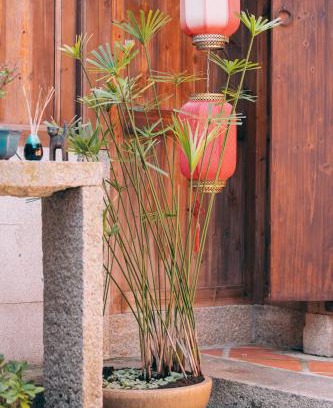 Jinning House | Guest Rated 9.5: Shin Long Tou B&B with Breakfast & Kitchen