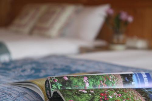 Ji'an Bed & Breakfast | Experience Oceanfront Bliss at Bay of Stars Hotel