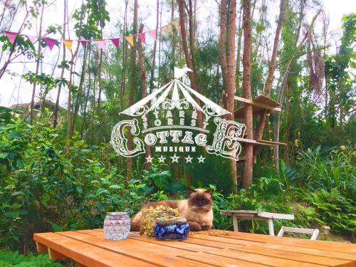 Nakama House | Enchanting Starry Forest Cottage in Okinawa with Ocean Views