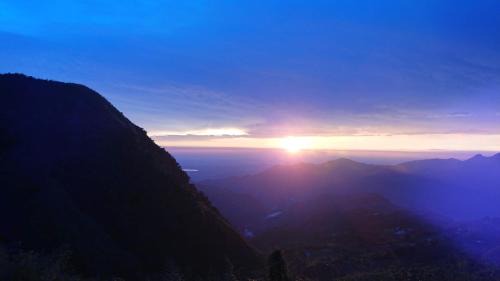 Fanlu Hotel | Experience Scenic Views at 阿里山梅園樓觀景飯店