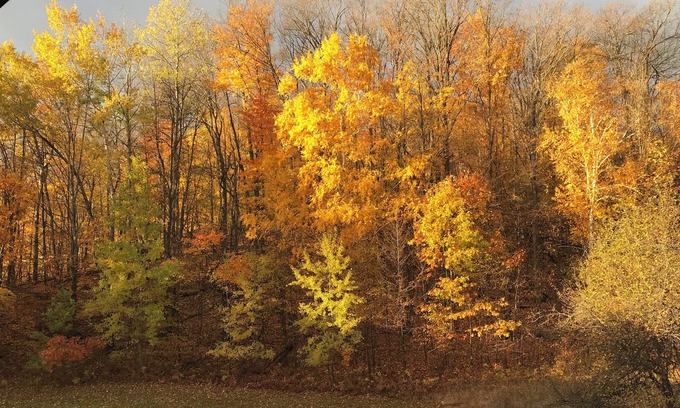 Boyne Falls Resort | ππΌπΈ 1 bedroom 1 bath suite at Boyne Mountain 2 nights.