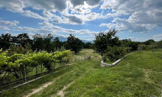 Cervara di Roma Apartment | Pet-Friendly Vrbo Property Ideal for Families
