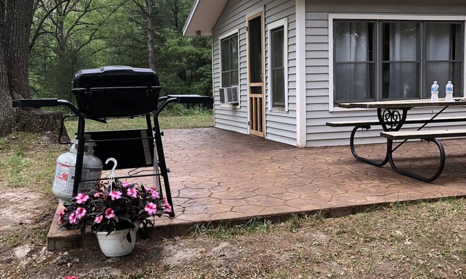 Newaygo Cabin | Inviting Cabin with Fast WIFI and Lake Access for Enjoyment