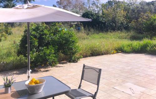 Gizzeria Apartment | Inviting Gizzeria Apartment with Kitchen and Pet-Friendly Perks