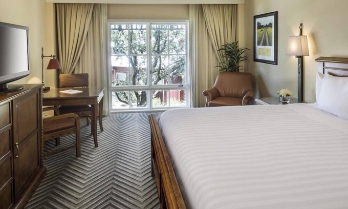 West San Antonio Hotel | Discover a Stylish 1-Bedroom Suite at Premier Hotel