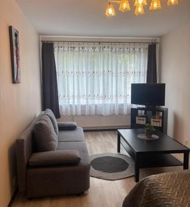 Klaipeda Apartment | Cozy Apartment on Statybininku Pr. - Rated 9/10 & Child Friendly