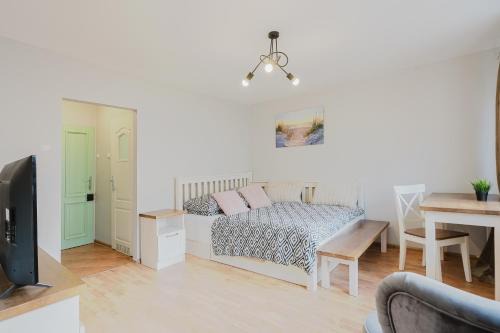 Kamienna Gora Apartment | Budget-Friendly Stay at 10 Apart: Pet and Child Friendly!